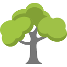 Smyrna Tree Removal