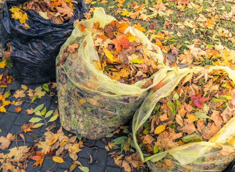 Leaf Collection