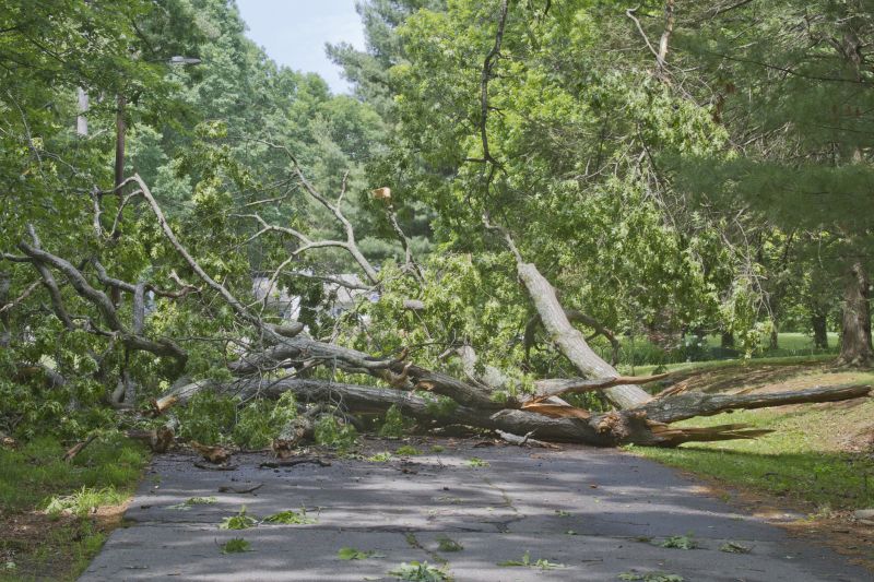 Tree Blocked Pathway