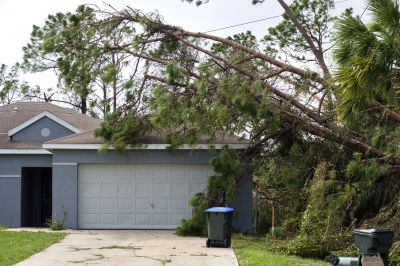 Storm Damage Cleanup