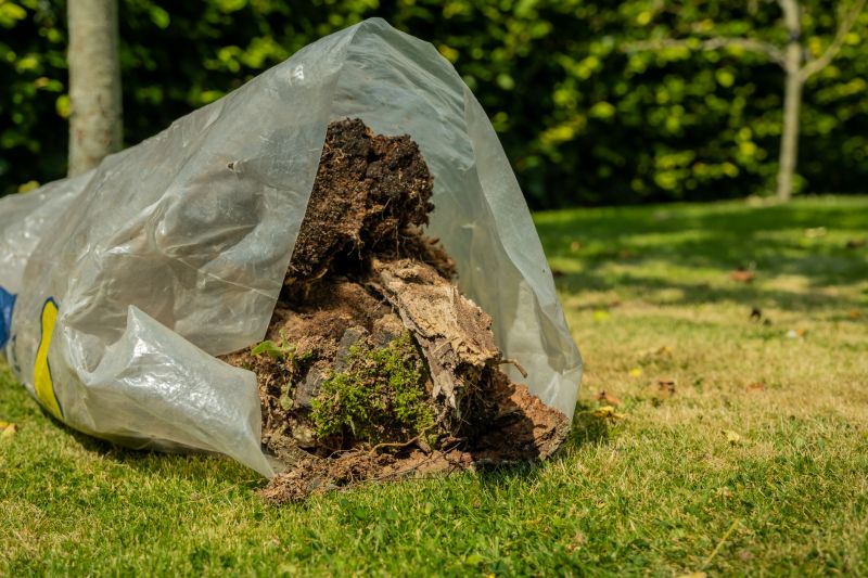 Tree Stump Removal