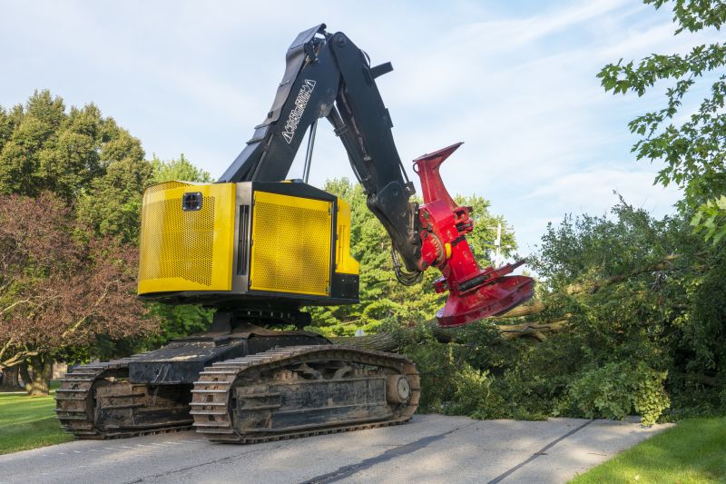 Tree Removal Equipment in Action